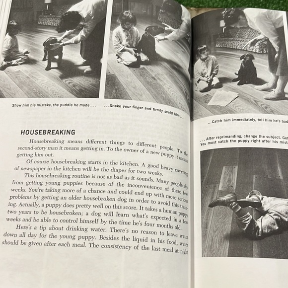 Family Dog by Richard A. Wolters HC/DJ 1975 Book - Picture 10 of 16